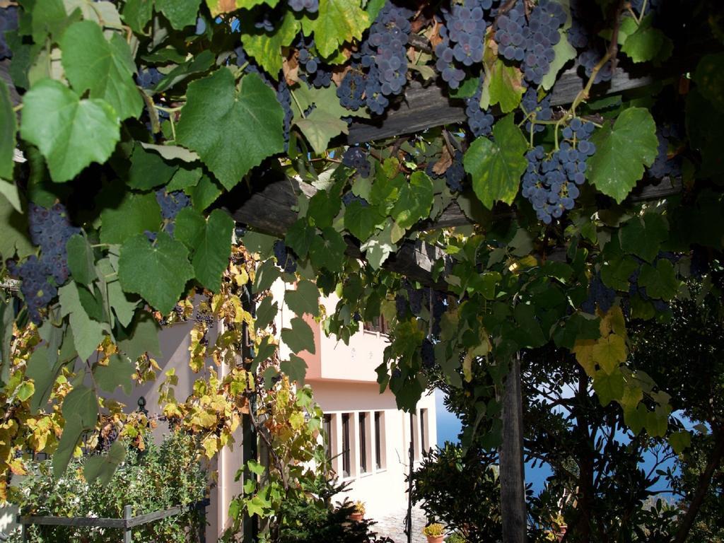 Villa Aglaini Áyios Dhimítrios Zewnętrze zdjęcie