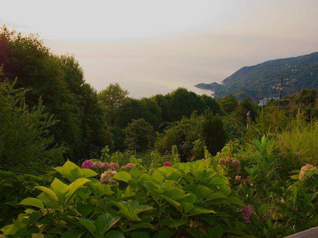 Villa Aglaini Áyios Dhimítrios Zewnętrze zdjęcie